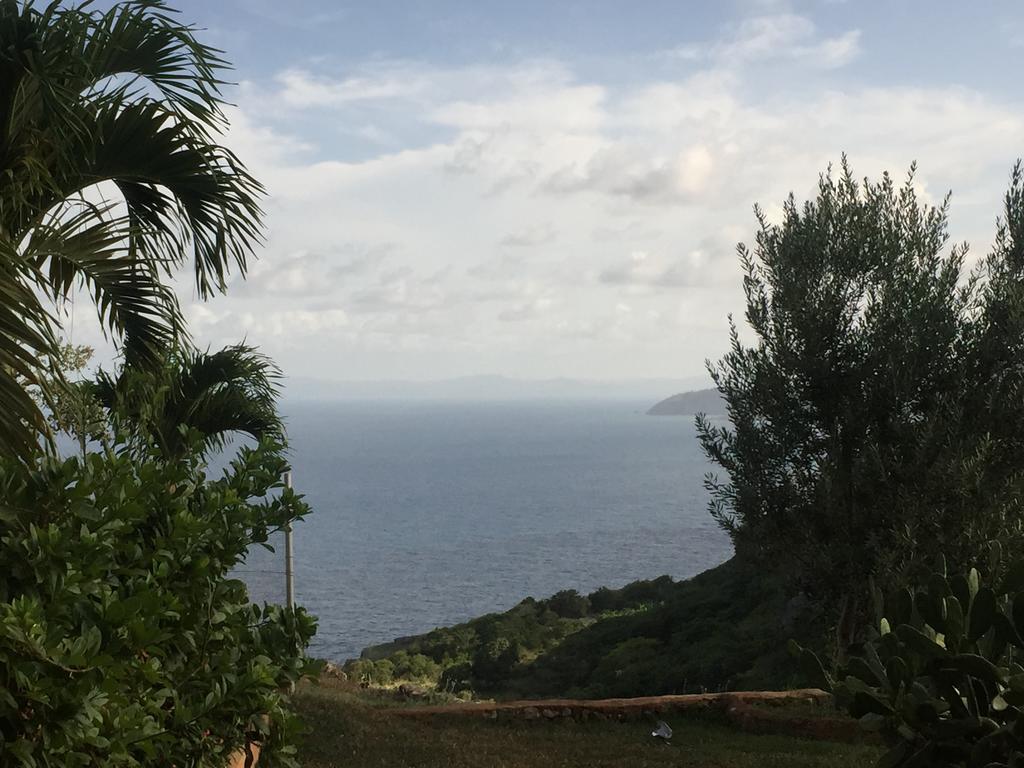 El Monte Azul Bed and Breakfast Las Galeras Buitenkant foto
